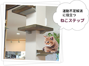 猫のためのリフォームねこステップ