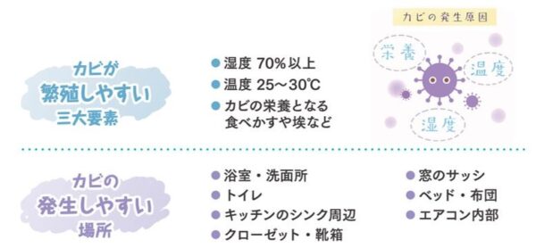 カビの豆知識